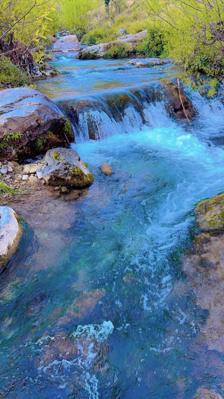 Rivulet Resort & Camping Mussoorie Eksteriør billede