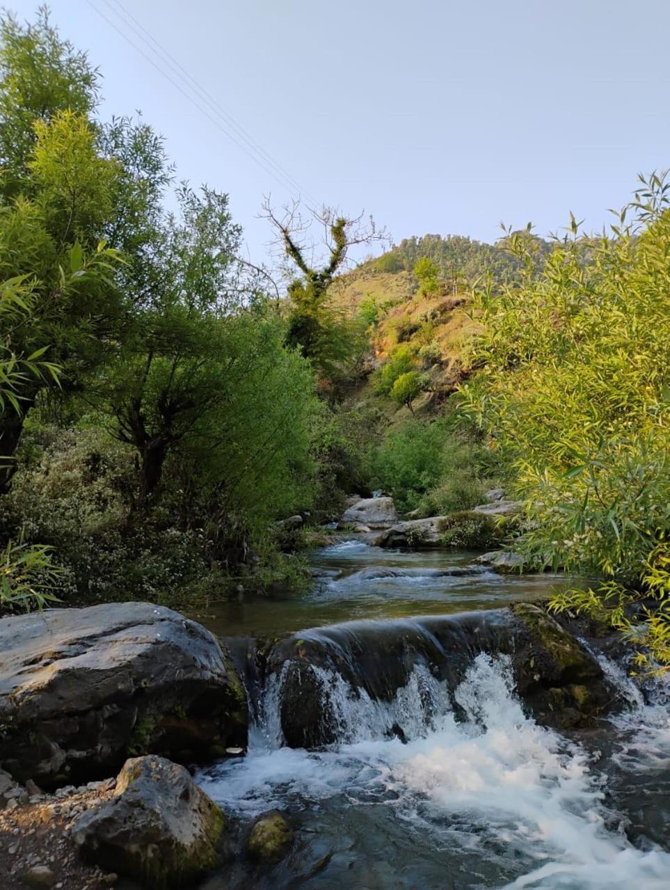 Rivulet Resort & Camping Mussoorie Eksteriør billede