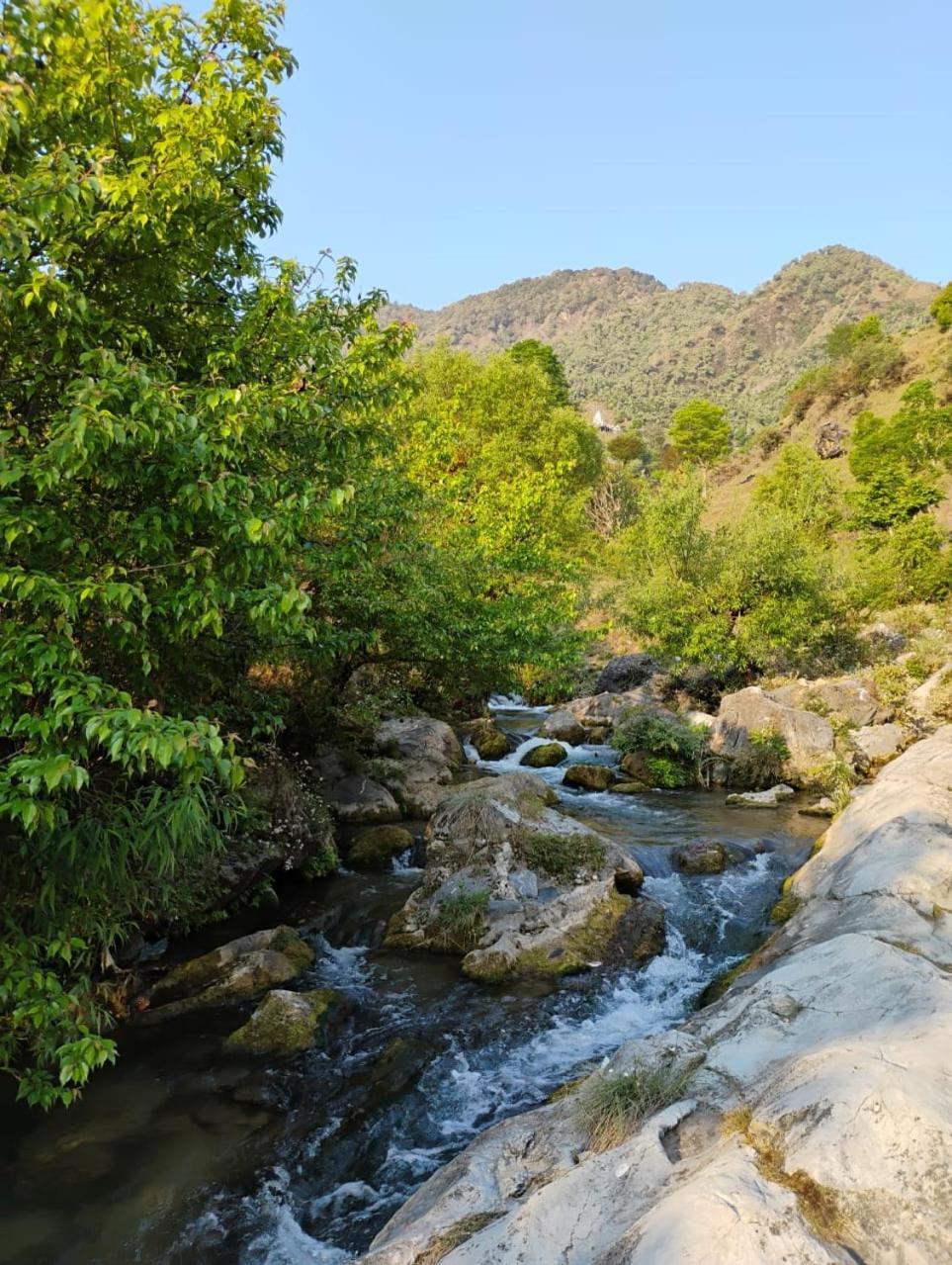 Rivulet Resort & Camping Mussoorie Eksteriør billede