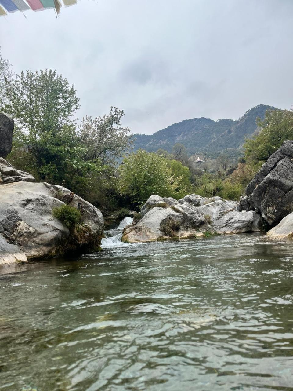 Rivulet Resort & Camping Mussoorie Eksteriør billede